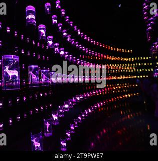 The Library at the HEAL Institute exhibition at the Museum of the Future in the Financial district in Dubai, UAE. Stock Photo