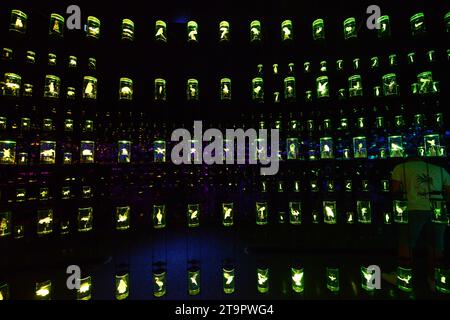 The Library at the HEAL Institute exhibition at the Museum of the Future in the Financial district in Dubai, UAE. Stock Photo