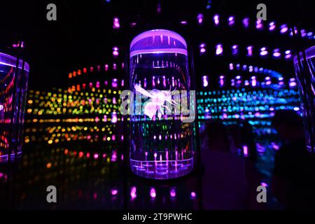 The Library at the HEAL Institute exhibition at the Museum of the Future in the Financial district in Dubai, UAE. Stock Photo