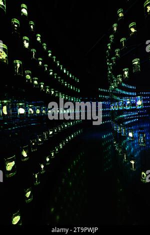 The Library at the HEAL Institute exhibition at the Museum of the Future in the Financial district in Dubai, UAE. Stock Photo