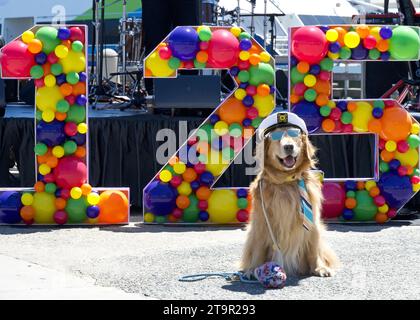 San Francisco, CA - July 13, 2023: Golden retriever wearing a sailor hat and tie posing in front of the stage for the Very Ferry Birthday celebration Stock Photo