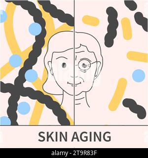 Collagen content in young and old skin illustration Stock Vector