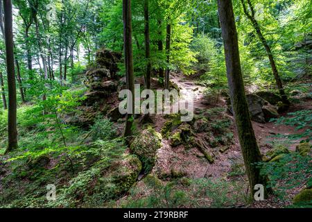 Woodland landscape among rocky slope in Teufelsschlucht nature reserve, ecological staircase among wild vegetation in background, abundant green folia Stock Photo