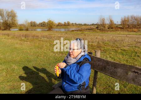 Senior adult hiker taking a break sitting on bench, starting to peel a banana, enjoying sunny autumn day in nature reserve, small pond in background, Stock Photo