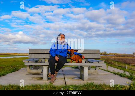 Senior adult hiker sitting next to his dachshund on a tourist gazebo on a hill, ears raised in wind, Belgian nature reserve De Wissen, Maas river in b Stock Photo