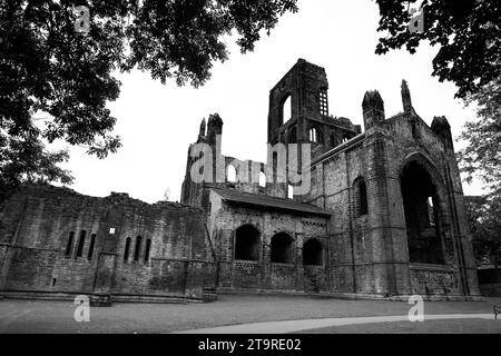 A Black & White general view of the Kirkstall Abbey framed by trees in Leeds, England. Stock Photo