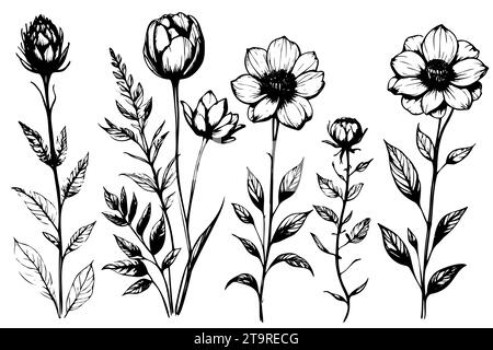 Sketch set Floral branch and minimalist leaves for logo or tattoo. Hand drawn herb, elegant wildflowers. art drawing for print, cover or wallpaper Stock Vector