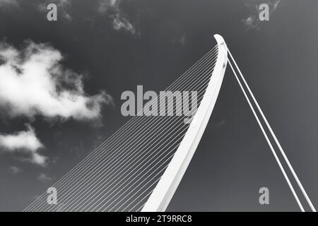 White cable-stayed bridge in the shape of a harp, Pont de L'Assut de l'Or, modern architecture, architect Santiago Calatrava, pylon, detail Stock Photo