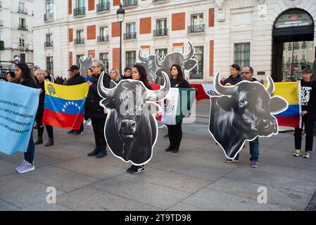 Several people show flags and banners with images of bulls, during a demonstration against bullfighting, at the Puerta del Sol, on 27 November, 2023 i Stock Photo