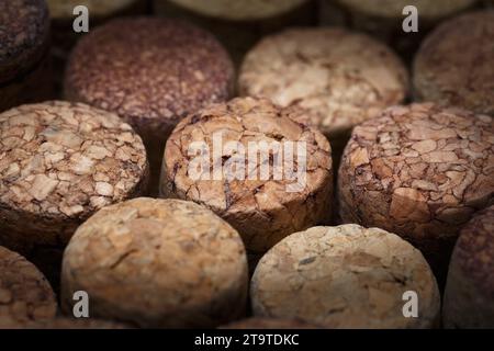 Wine corks in a row, with shallow depth of field. Macro photography in dark tones. Stock Photo