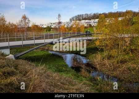 Dortmund, North Rhine-Westphalia, Germany - Phoenix Lake, in front the renaturalised Emscher. The river has been transformed into a near-natural water Stock Photo