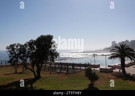 A general view of an empty public swimming pool seen through trees. Stock Photo