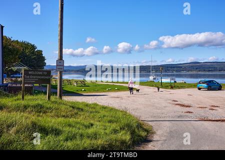 A single, adult female walks her dogs on the beach at Otter Ferry, Argyll, Scotland Stock Photo