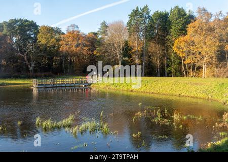 Hammer Pond on Thursley Common National Nature Reserve, Surrey, England ...