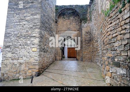 Úbeda (World Heritage), El Losal door (mudejar 14th century). La Loma, Jaén, Andalusia, Spain. Stock Photo