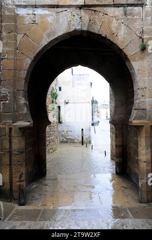 Úbeda (World Heritage), El Losal door (mudejar 14th century). La Loma, Jaén, Andalusia, Spain. Stock Photo