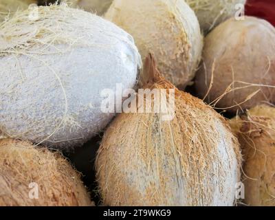 Close Up - Coconuts Stock Photo