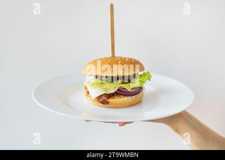 Hand holding a plate with a burger, featuring lettuce, tomato, onion, against white background. Stock Photo