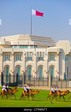 Qatar, Doha, Emiri Palace, camel cavalry,  arabian camels, dromedary, people, Stock Photo