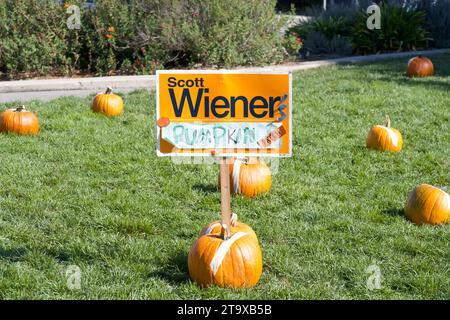 San Francisco, CA - Oct 28, 2023:  Pumpkins on the grass, pre-hollowed out for Senator Scott Wiener's Halloween Pumpkin Carving Event. Sign held up by Stock Photo