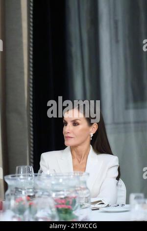 Madrid, Madrid, Spain. 27th Nov, 2023. Queen Letizia of Spain attends the 'Francisco Cerecedo' journalism awards at Palace Hotel on November 27, 2023 in Madrid, Spain (Credit Image: © Jack Abuin/ZUMA Press Wire) EDITORIAL USAGE ONLY! Not for Commercial USAGE! Stock Photo