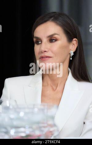 Madrid, Madrid, Spain. 27th Nov, 2023. Queen Letizia of Spain attends the 'Francisco Cerecedo' journalism awards at Palace Hotel on November 27, 2023 in Madrid, Spain (Credit Image: © Jack Abuin/ZUMA Press Wire) EDITORIAL USAGE ONLY! Not for Commercial USAGE! Stock Photo
