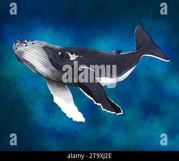 Illustration of a swimming whale in the ocean Stock Photo - Alamy
