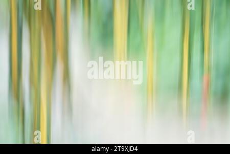 Green and yellow leave plant in abstract form. Motion blur, producing dreamy and painterly effect. Stock Photo