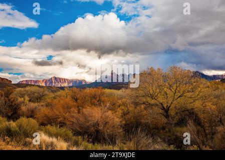 Distant view of Zions National Park from Hwy 9 near Springdale, UT. USA Stock Photo