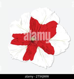 Red and white petunia vector illustration Stock Vector