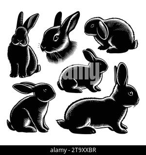 Set of bunny silhouettes isolated on a white background, Vector illustration. Stock Vector