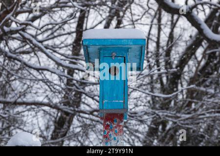 Blue bird house in the winter Stock Photo