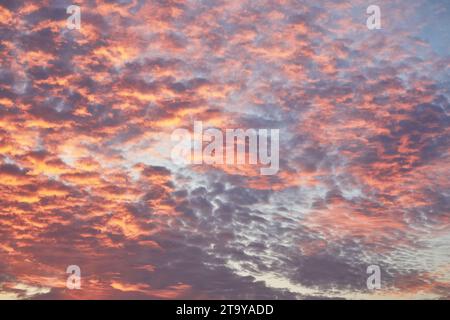 Red sunset clouds on blue sky. Background texture. Stock Photo