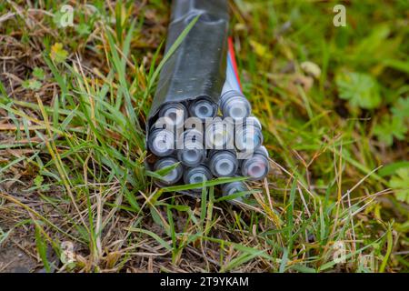 Bundle of fiber optic cables for fast internet laying in the grass at a construction site Stock Photo