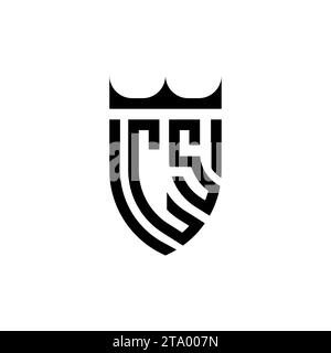 CS Luxury initial logo letters in high quality professional design that will print well Stock Vector