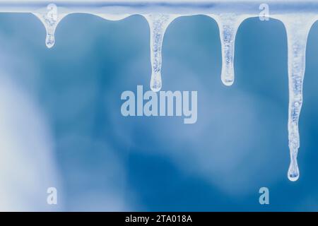 bunch of real icicle in close focus of ice drop, ice stalactites, ice formations in a frozen day Stock Photo