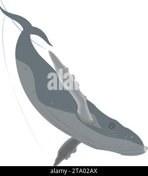 Big blue baleen whale swimming through the sea, cartoon illustration isolated on white Stock Vector