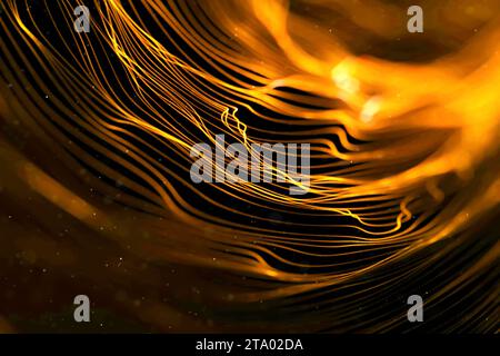 abstract stream wave array colorful glitter sparkle yellow, gold lines with particles on black background science and research concept Stock Photo