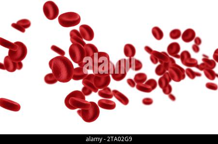 3d rendering white blood cells in vein Stock Photo - Alamy