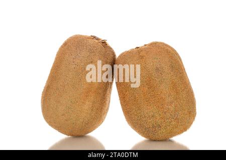 Two ripe sweet kiwis, macro, isolated on white background Stock Photo