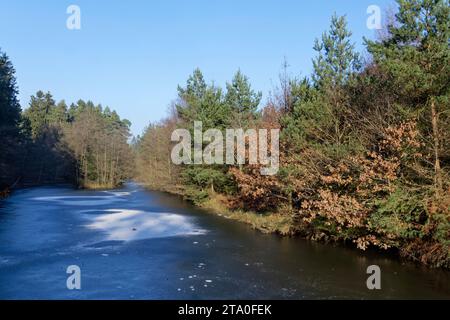 Top lake, Mallards Pike, frozen and dusted with snow in winter,  Forest of Dean, Gloucestershire, UK, January. Stock Photo