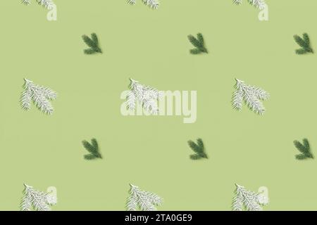 Pattern seamless spruce branches white and green. Layout. View from above. Stock Photo