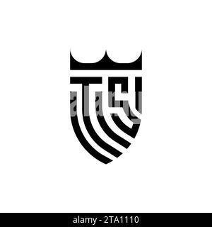 TS Luxury initial logo letters in high quality professional design that will print well Stock Vector