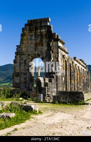 UNESCO heritage.Extensive complex of ruins of the Roman city Volubilis - of ancient capital city of Mauritani. Meknes region, Morocco, North Africa Stock Photo