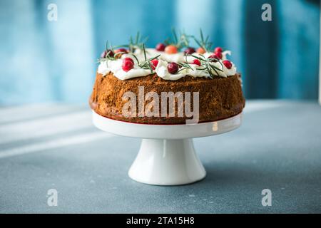 Christmas chocolate bundt cake. Traditional Christmas fruit cake with white glaze, cranberries and rosemary on dark background Stock Photo