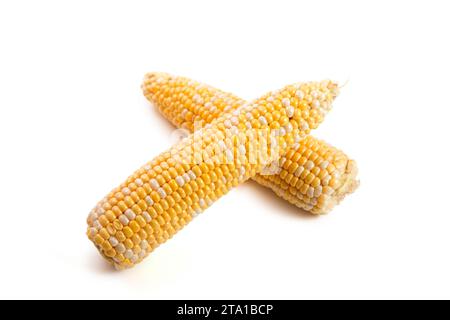 Two ears of ripe corn with soft shadow isolated on white background. Stock Photo