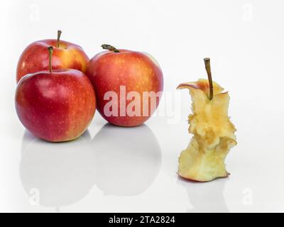 Apple stub and three ripe Gala apples isolated on white background with reflection Stock Photo