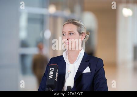 Alice Weidel, AfD, MdB Alice Weidel, AfD, MdB Im Bundestag Berlin ...