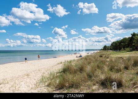 Sandy beach on the coast of the Baltic Sea in Hanö Bay near Rigeleje in summer, Skåne, Sweden Stock Photo