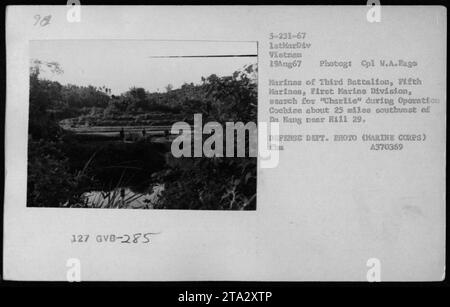 Marines from the Third Battalion, Fifth Marines, First Marine Division, participate in Operation Cochise on August 19, 1967. The photograph captures marines conducting a search for enemy forces, commonly referred to as 'Charlie,' approximately 25 miles southwest of Da Nang, near Hill 29. Stock Photo